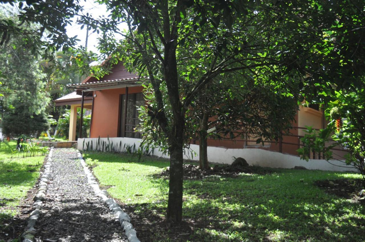 Hospedaje Amanecer Bed & Breakfast Turrialba Eksteriør bilde