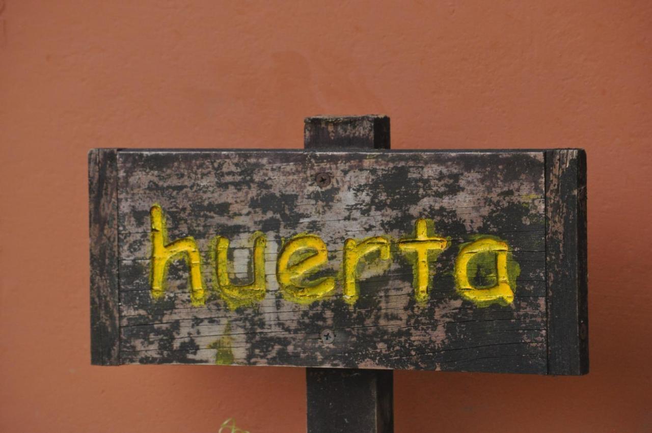 Hospedaje Amanecer Bed & Breakfast Turrialba Eksteriør bilde