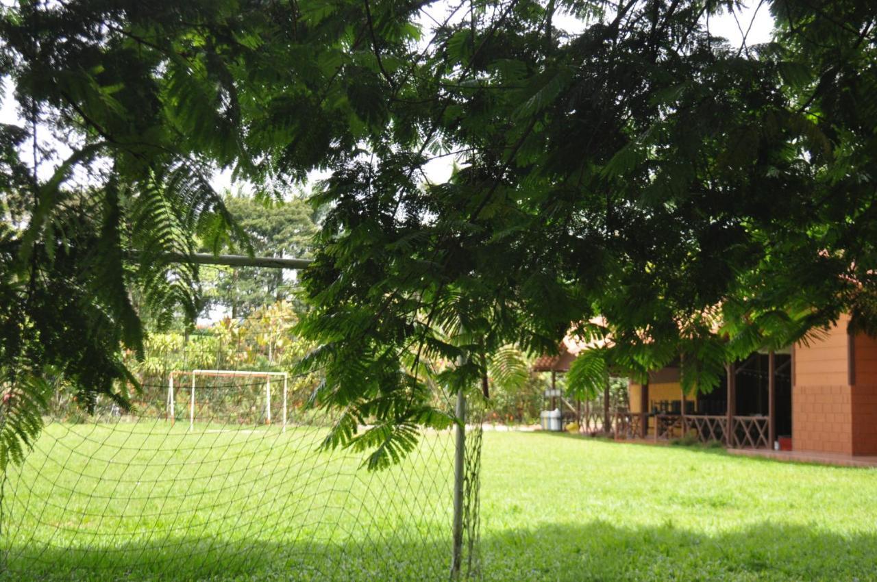 Hospedaje Amanecer Bed & Breakfast Turrialba Eksteriør bilde