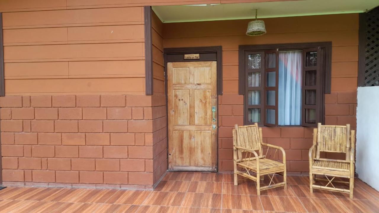 Hospedaje Amanecer Bed & Breakfast Turrialba Eksteriør bilde