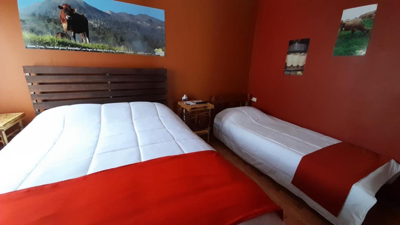 Hospedaje Amanecer Bed & Breakfast Turrialba Eksteriør bilde