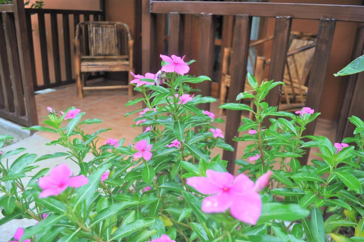 Hospedaje Amanecer Bed & Breakfast Turrialba Eksteriør bilde